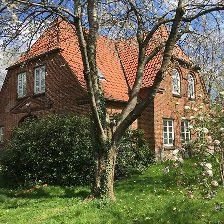 Große Atelierwohnung Barrierefrei Meezen