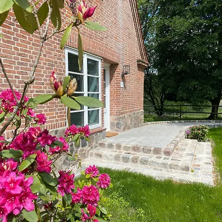 Große Atelierwohnung Barrierefrei Apartment