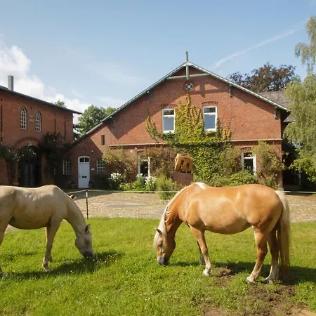 Grosse Atelierwohnung Barrierefrei