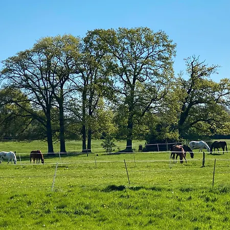 Apartment Große Atelierwohnung Barrierefrei *